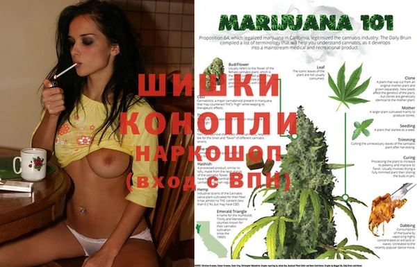 spice Карпинск