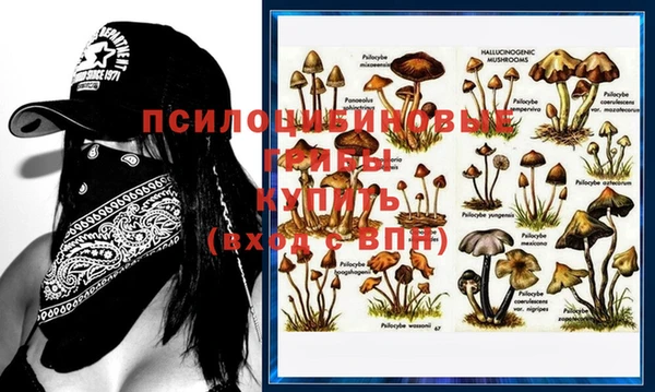 скорость Касимов