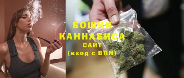 spice Карпинск