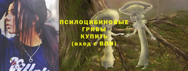скорость Касимов